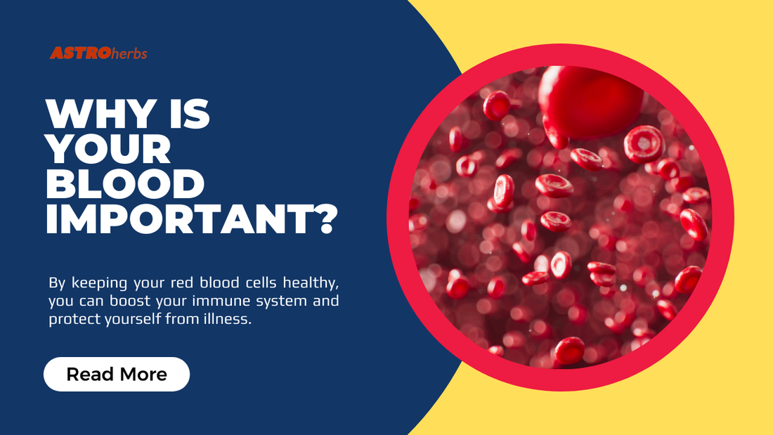 Why is Your Blood So Important?